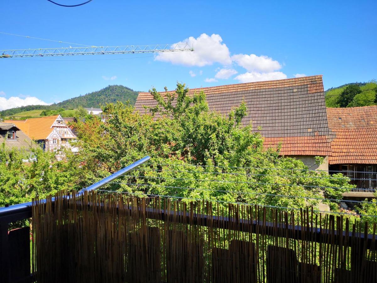 Family-Apartment Mit Balkon, Kueche, Parkplatz & Waschmaschine Offenburg Bagian luar foto